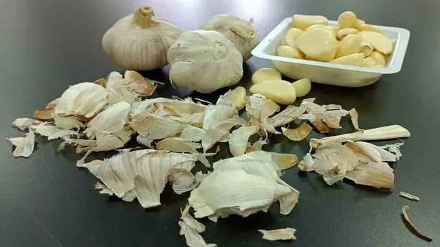 Health Benefits Of Garlic Peel: వెల్లుల్లి తొక్క వల్ల ఇన్ని లాభాలా..?