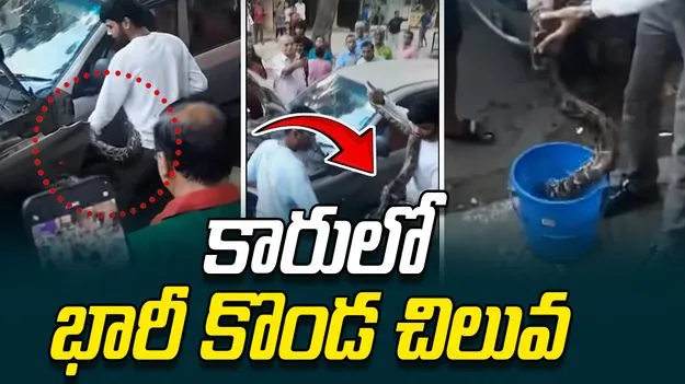 Giant Python In Car Bonnet: కారు బోనెట్‌లో భారీ కొండ చిలువ.. ఒక్కసారిగా కలకలం..