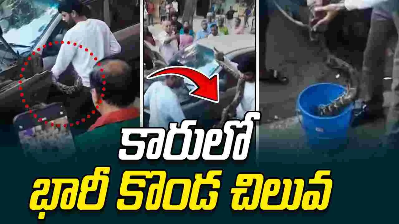 Giant Python In Car Bonnet: కారు బోనెట్‌లో భారీ కొండ చిలువ.. ఒక్కసారిగా కలకలం..
