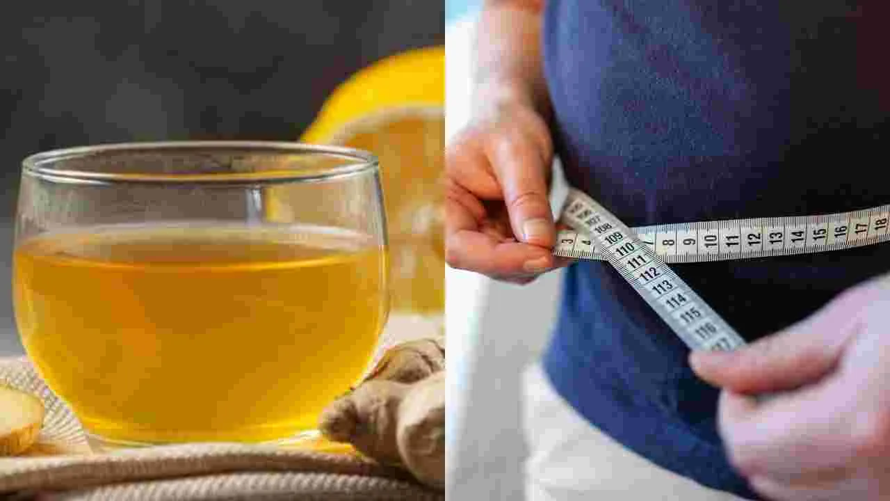 Ginger for Weight Loss: అల్లం నీరు తాగితే నిజంగా బరువు తగ్గుతారా?