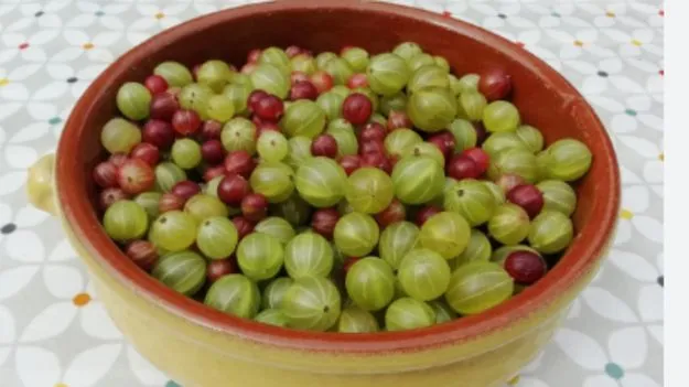 Foods that Prevent Breast Cancer: రొమ్ము క్యాన్సర్ రాకుండా ఉండాలంటే ఈ ఆహారాలు తినండి.!