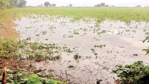 శాంతించని వరుణుడు