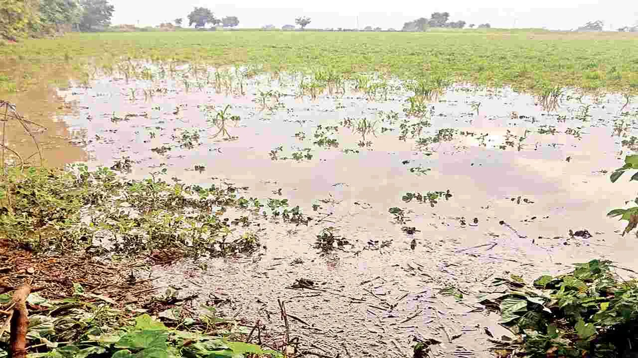 శాంతించని వరుణుడు