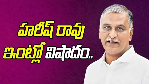 MLA Harish Rao: హరీష్ రావు ఇంట్లో విషాదం..