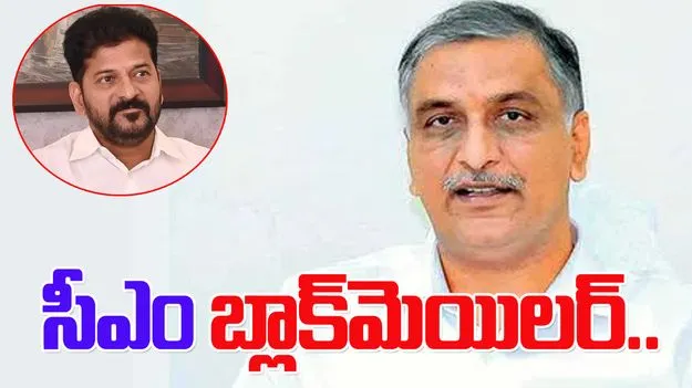 Harish Vs CM Revanth:  బ్లాక్ మెయిలర్‌కు బుద్ధి చెప్పండి.. సీఎంపై హరీష్ సంచలన వ్యాఖ్యలు