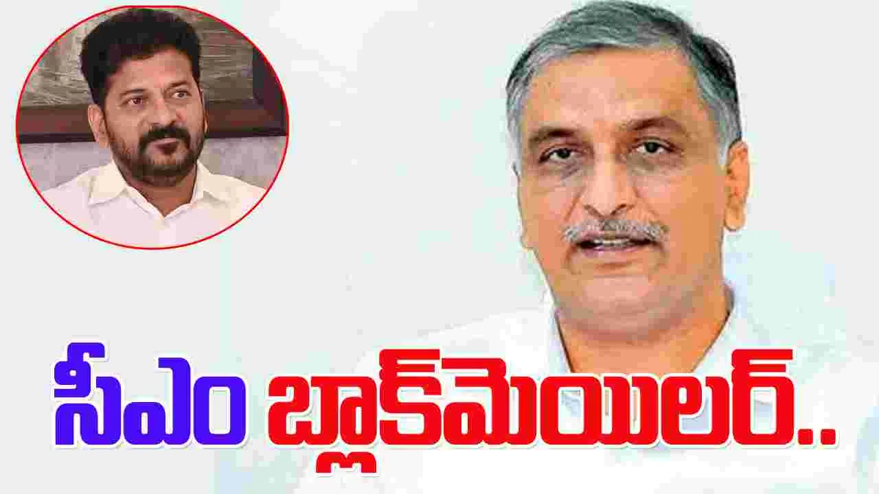 Harish Vs CM Revanth:  బ్లాక్ మెయిలర్‌కు బుద్ధి చెప్పండి.. సీఎంపై హరీష్ సంచలన వ్యాఖ్యలు