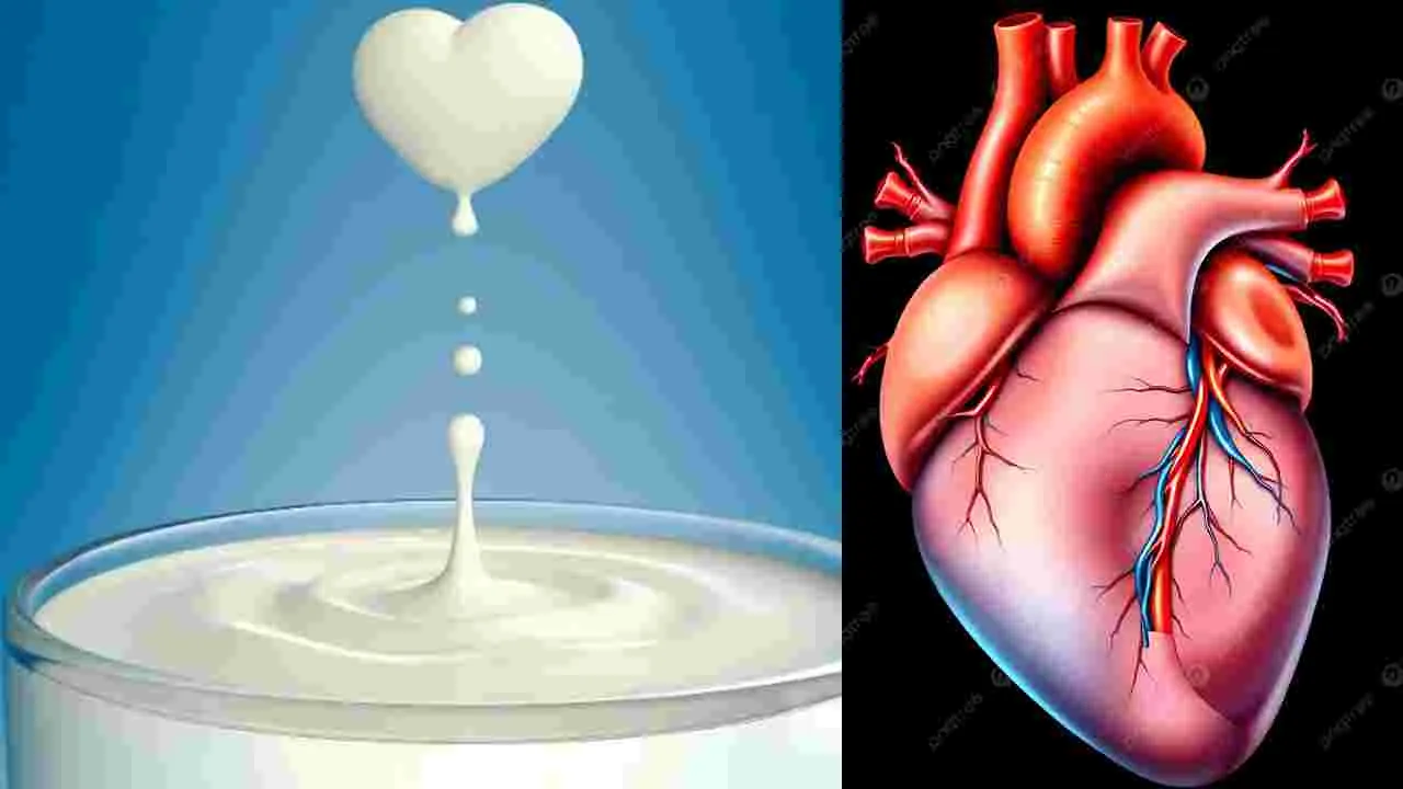 Heart Health Study: అధిక ఫ్యాట్ పాలు తాగితే గుండె ఆరోగ్యం పాడవుతుందా.. నిజాలు తేల్చేసిన నిపుణులు..