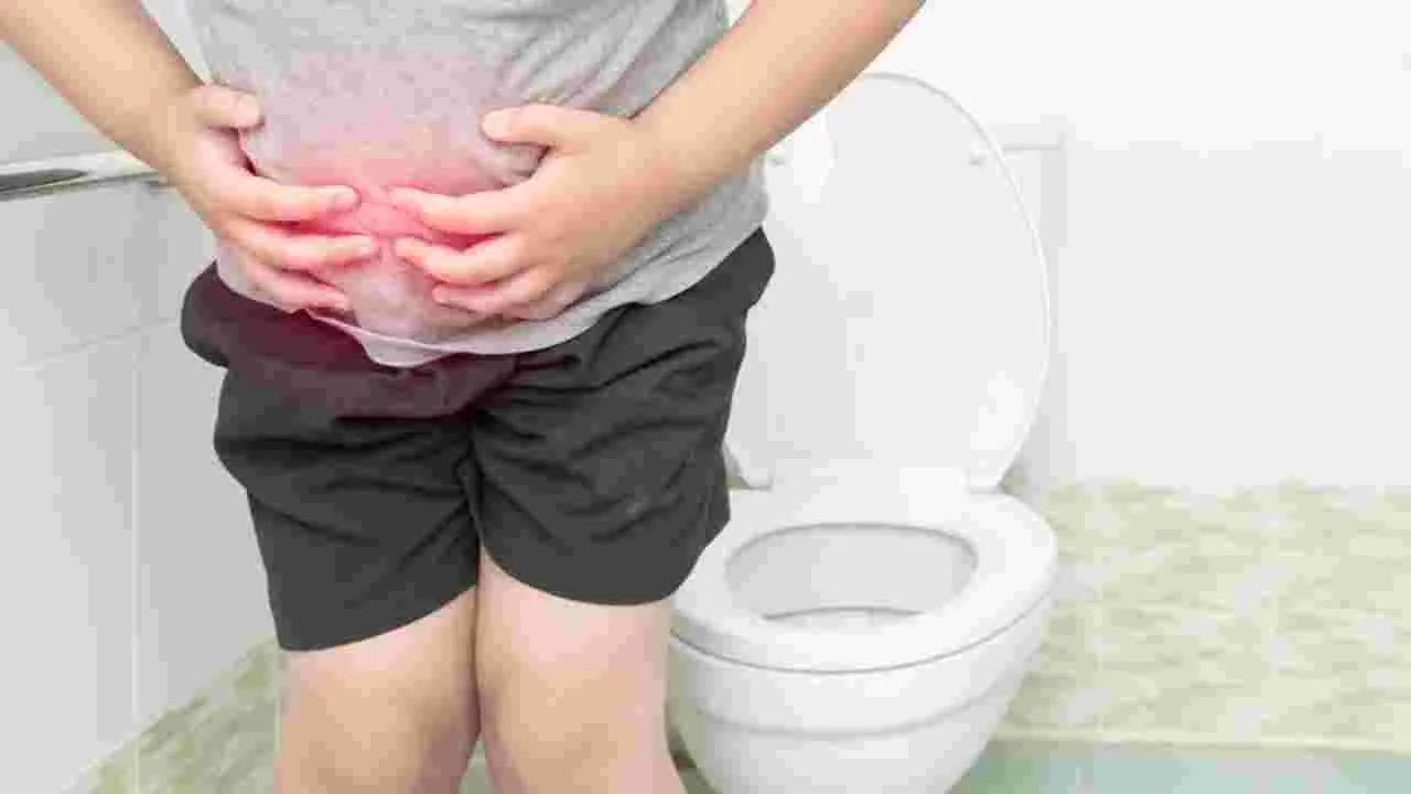 Constipation Home Remedies: రోజూ ఈ మూడు విత్తనాలు తింటే మలబద్ధకం సమస్యకు చెక్! 