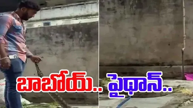 Hyderabad rock python: పాతబస్తీలో రాక్ పైథాన్.. ఎలా పట్టుకున్నారో చూడండి.. 