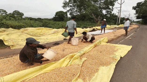 అన్నదాతకు కన్నీళ్లే