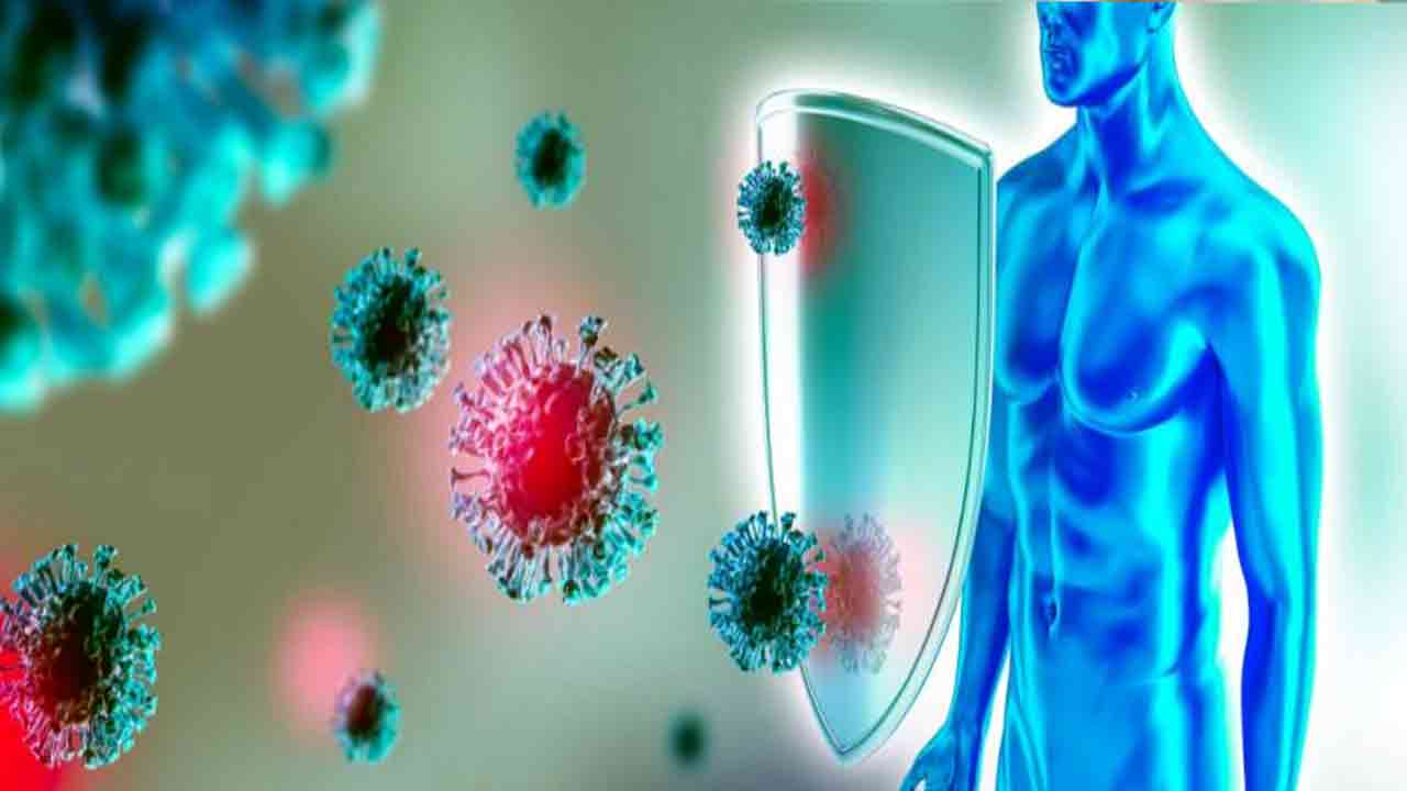 Health Tips: దానిమ్మ పండ్లు తిన్న తర్వాత.. తొక్కలు పడేస్తున్నారా.. ఈ విషయాలు తెలిస్తే.. 