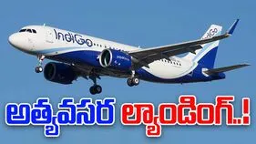 IndiGo Flight Emergency Landing: గన్నవరంలో ఇండిగో విమానం ఎమర్జెన్సీ ల్యాండింగ్