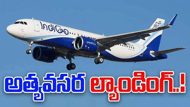 IndiGo Flight Emergency Landing: గన్నవరంలో ఇండిగో విమానం ఎమర్జెన్సీ ల్యాండింగ్