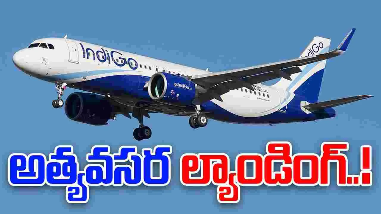 IndiGo Flight Emergency Landing: గన్నవరంలో ఇండిగో విమానం ఎమర్జెన్సీ ల్యాండింగ్