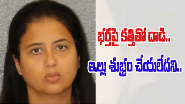 Indian Origin Woman: ఇల్లు శుభ్రం చేయని భర్తపై కత్తితో దాడి.. యూఎస్‌లో భారత సంతతి మహిళ అరెస్టు