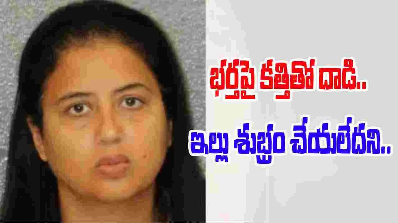 Indian Origin Woman: ఇల్లు శుభ్రం చేయని భర్తపై కత్తితో దాడి.. యూఎస్‌లో భారత సంతతి మహిళ అరెస్టు
