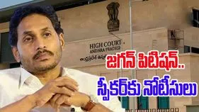 YS Jagan: జగన్ ప్రతిపక్ష హోదా పిటిషన్.. స్పీకర్‌కు నోటీసులు