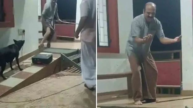 Street Dog Bites Actor: నటుడిపై కుక్క దాడి.. ఎందుకో తెలిస్తే ఆశ్చర్యపోతారు..