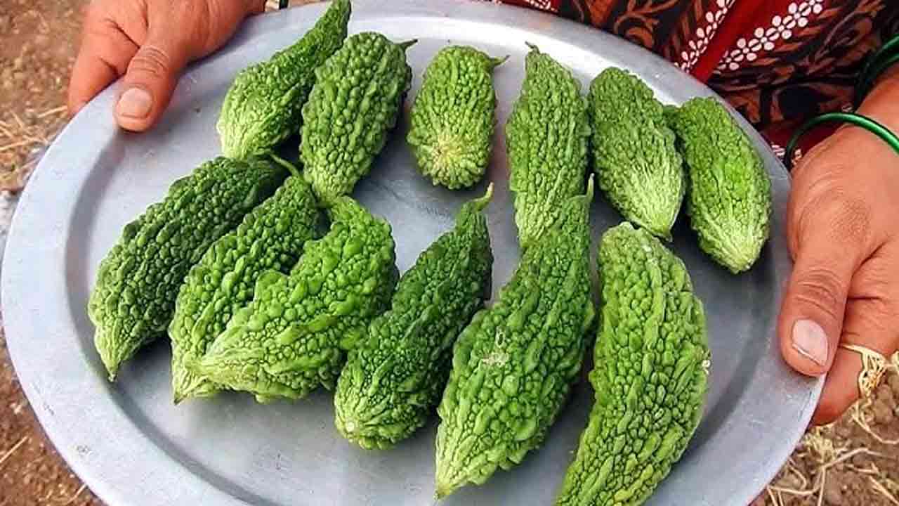 Health Tips: రక్తంలో చక్కెర స్థాయిలను అదుపులో ఉంచే.. 6 సహజ పదార్థాలివే.. 