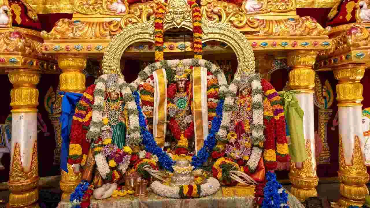 TAG ఆధ్వర్యంలో వైభవంగా శ్రీ వేంకటేశ్వర స్వామి కళ్యాణ మహోత్సవం