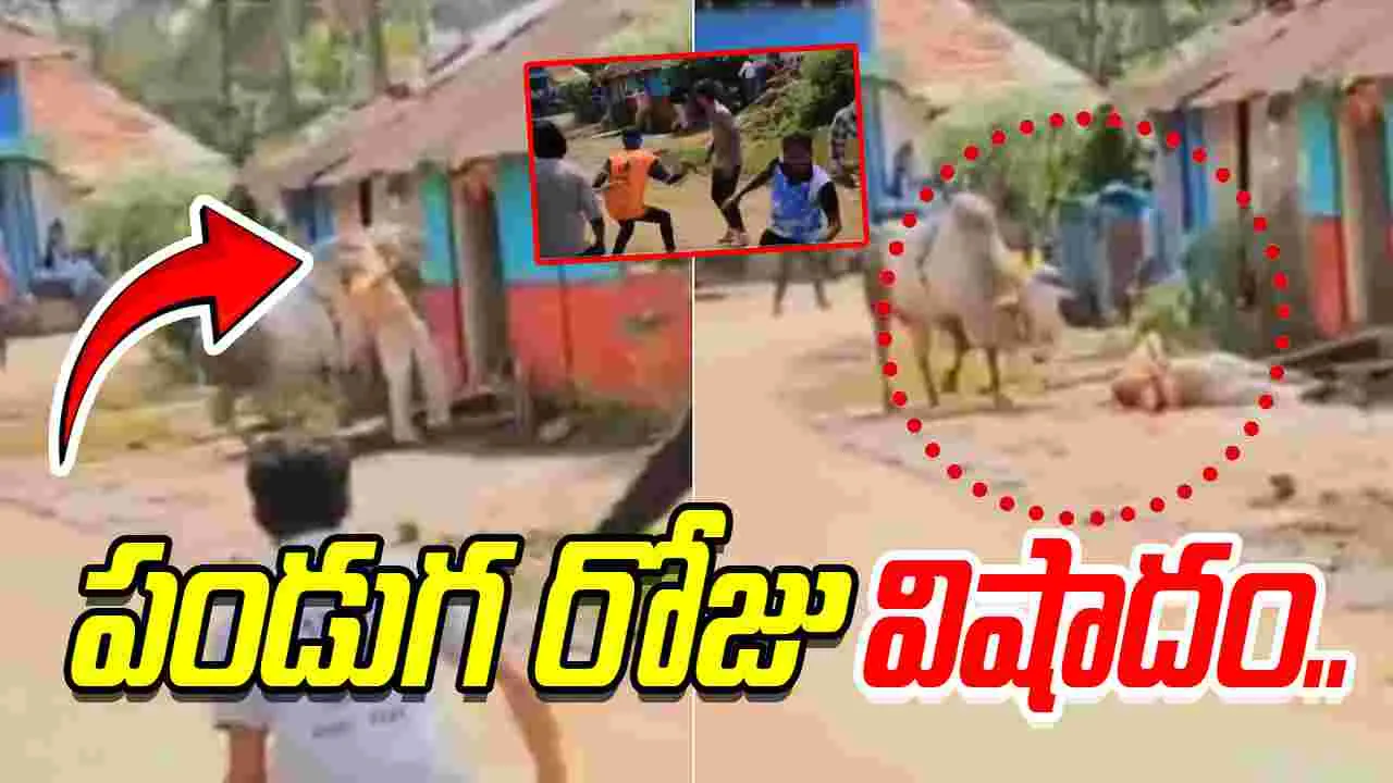 Bull Charges At Former MLA: పండుగ రోజు విషాదం.. మాజీ ఎమ్మెల్యేపై ఎద్దు దాడి