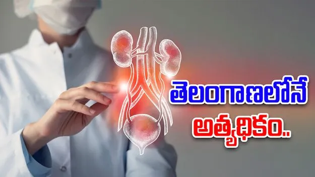 Kidney Health: ప్రతి 100 మందిలో ఏడుగురికి కిడ్నీ సమస్య