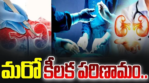 Kidney Racket Case:  మదనపల్లి కిడ్నీ రాకెట్ కేసులో మరో కీలక పరిణామం