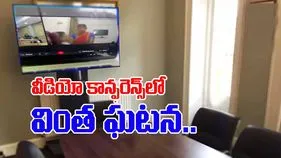 Lawyer Viral Video: వీడియో కాన్ఫరెన్స్‌లో ఉండగానే.. లాయర్ వింత ప్రవర్తన.. మహిళను దగ్గరికి లాక్కుని.. 