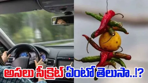  Lemon Chili Superstition: వాహనాల్లో మిరపకాయలతో పాటు నిమ్మకాయలను ఎందుకు వేలాడదీస్తారో తెలుసా?