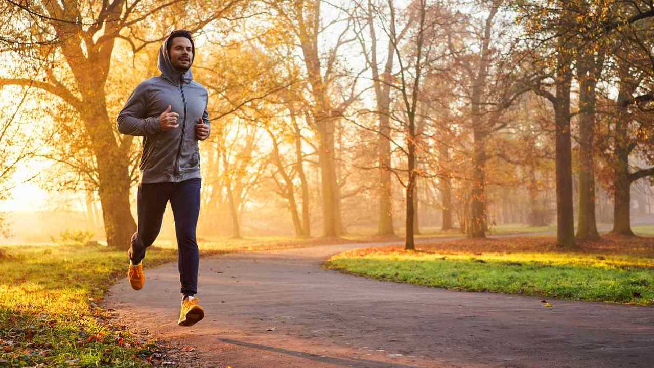 Statins: కొలెస్టరాల్‌ను తగ్గించే స్టాటిన్స్ గురించి ఈ విషయాలు తెలుసా