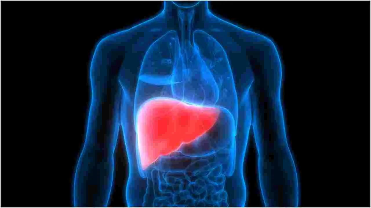 Home Remedies for Liver: ఈ ఇంటి చిట్కాలు మీ కాలేయాన్ని శుభ్రపరుస్తాయి! 