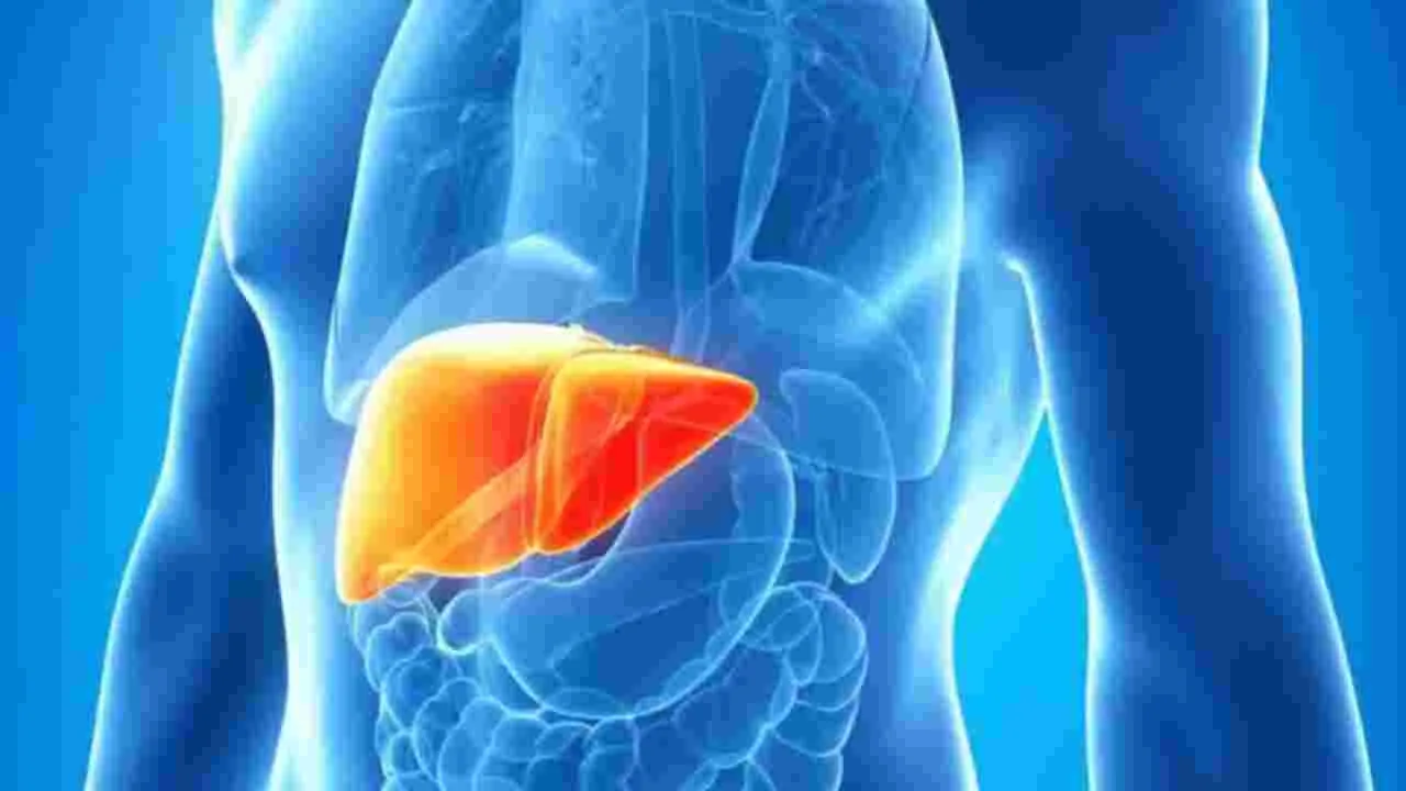 Liver Health Drinks:  కాలేయ ఆరోగ్యం కోసం 3 బెస్ట్ డ్రింక్స్ ఇవే..