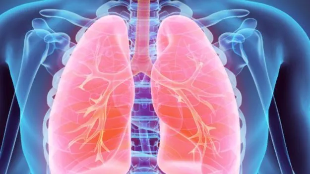 Symptoms of Lung Infection: ఊపిరితిత్తుల ఇన్ఫెక్షన్ లక్షణాలు ఏంటో తెలుసా?