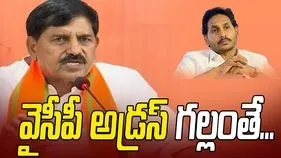 Adinarayana Challenge Jagan: భవిష్యత్‌లో వైసీపీ కనుమరుగవడం ఖాయం: బీజేపీ ఎమ్మెల్యే