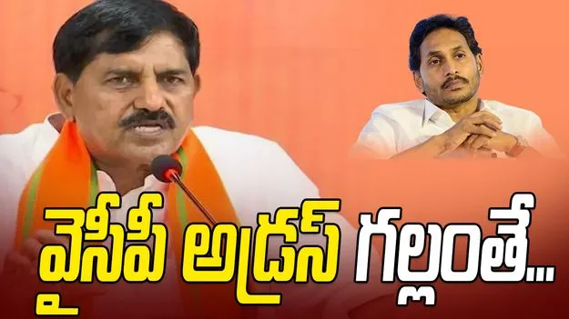 Adinarayana Challenge Jagan: భవిష్యత్‌లో వైసీపీ కనుమరుగవడం ఖాయం: బీజేపీ ఎమ్మెల్యే