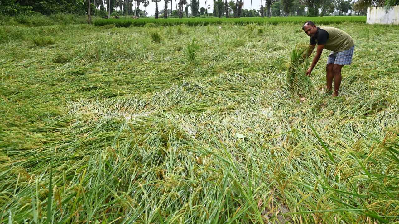 Cyclone Montha: విజయనగరం జిల్లాలో మొంథా తుఫాన్‌ ప్రభావం.. ప్రజలకి తీవ్ర ఇబ్బందులు