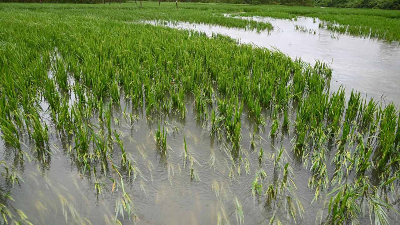 Cyclone Montha: విజయనగరం జిల్లాలో మొంథా తుఫాన్‌ ప్రభావం.. ప్రజలకి తీవ్ర ఇబ్బందులు