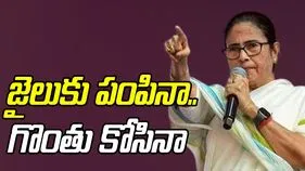 Mamata Banerjee: నా గొంతు కోసినా.. ఎస్ఐఆర్‌పై మమత ఆగ్రహం