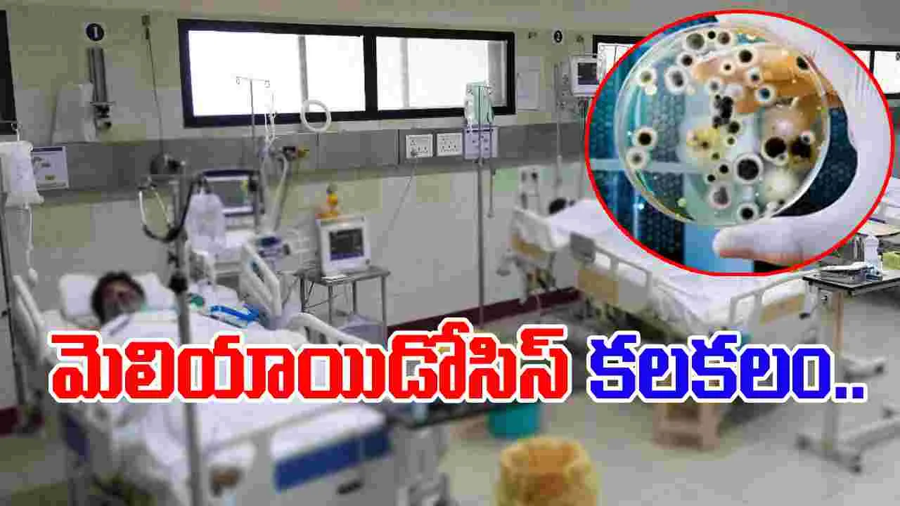 Palnadu Melioidosis Case: పల్నాడులో మెలియాయిడోసిస్‌ కలకలం.. 