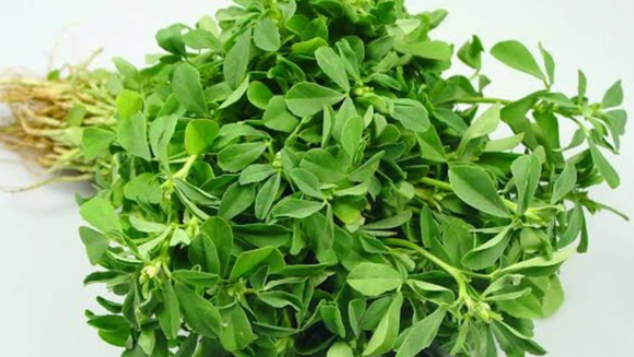 Healthy Leafy Vegetables: ఈ 5 ఆకుకూరలు అత్యంత పోషకమైనవి