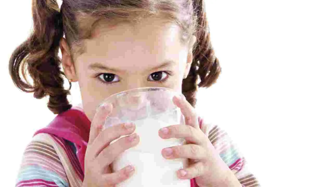 Milk Consumption: రోజుకు ఎన్ని గ్లాసుల పాలు తాగాలి?