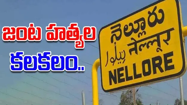 Nellore Murders: నెల్లూరులో జంట హత్యల కలకలం