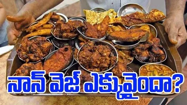 Tips to Reduce Non-Veg Intake: నాన్ వెజ్ ఎక్కువగా తిని ఇబ్బంది పడుతున్నారా? ఇలా చేయండి