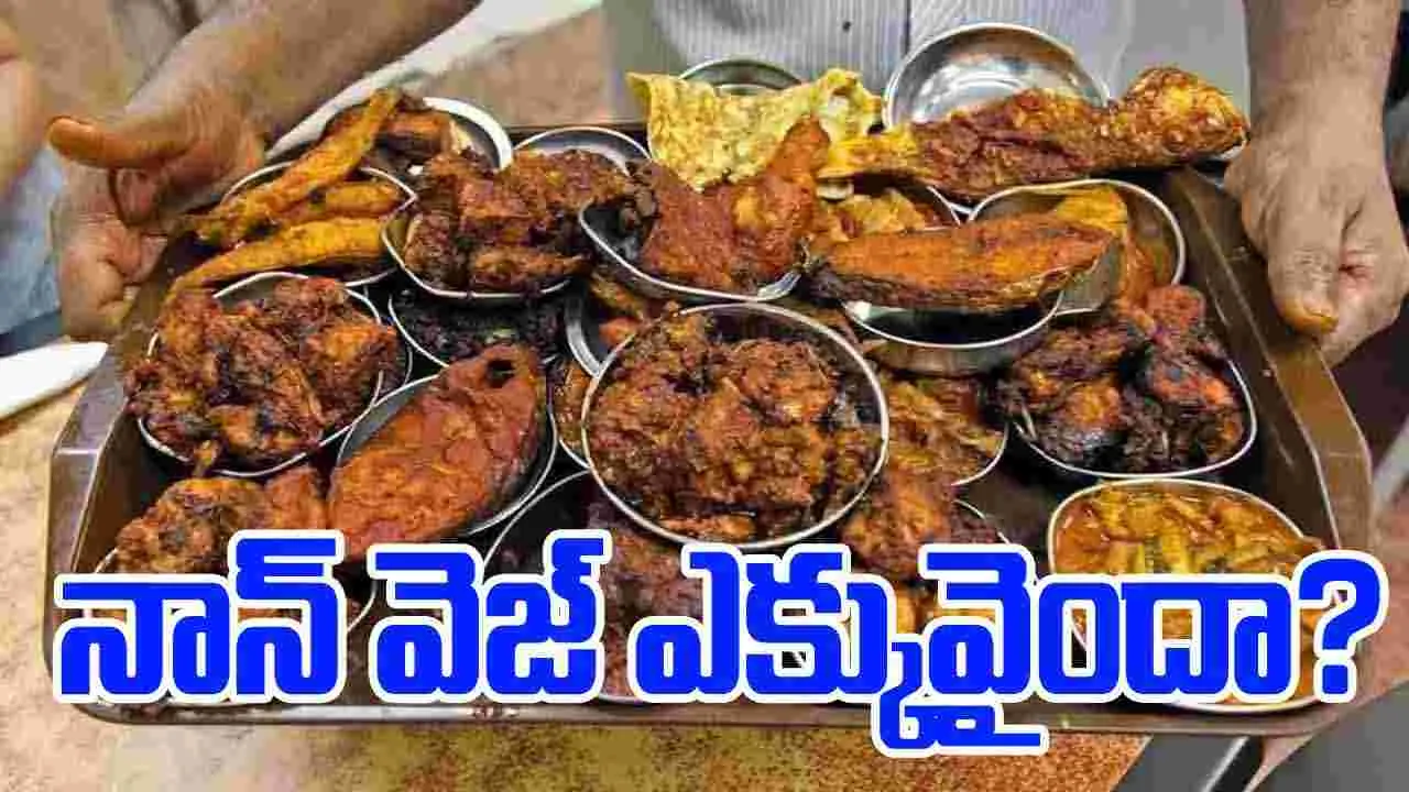 Tips to Reduce Non-Veg Intake: నాన్ వెజ్ ఎక్కువగా తిని ఇబ్బంది పడుతున్నారా? ఇలా చేయండి