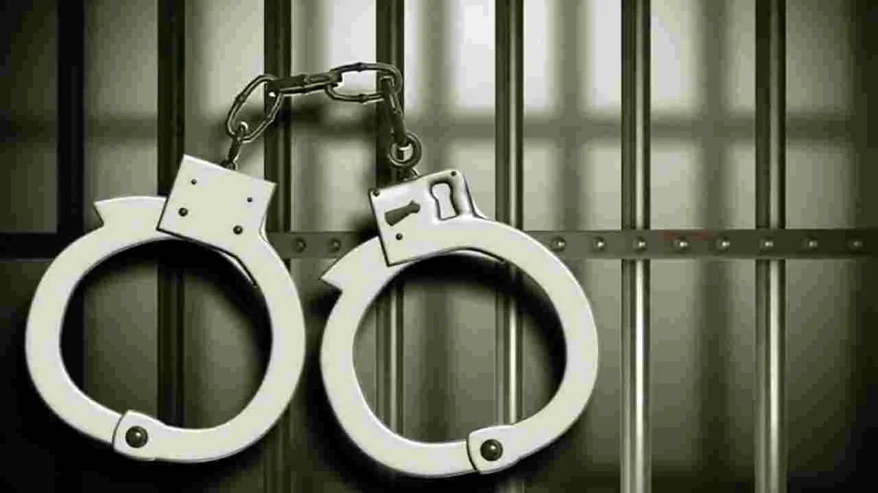 NRI: ప్రభుత్వ పథకానికి ప్రచారం..  సౌదీలో ఇద్దరు మలయాళీ ప్రముఖుల అరెస్ట్