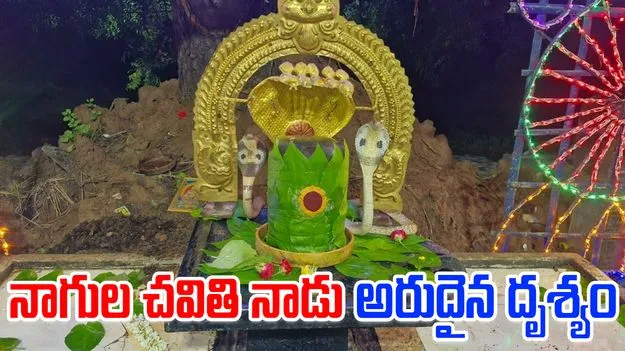 Nagula Chavithi: నెల్లూరు జిల్లాలో అరుదైన దృశ్యం.. శివలింగాన్ని చుట్టుకొన్న  రెండు నాగు పాములు