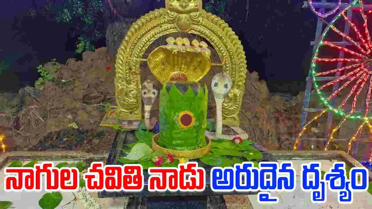 Nagula Chavithi: నెల్లూరు జిల్లాలో అరుదైన దృశ్యం.. శివలింగాన్ని చుట్టుకొన్న  రెండు నాగు పాములు