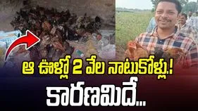 Hanumakonda Hens: ఆ ఊళ్లో 2 వేల నాటుకోళ్లు ప్రత్యక్షం.. కారణమిదే...