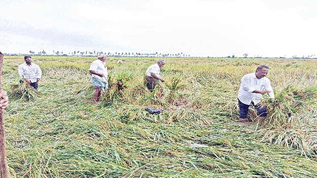 నేడు కేంద్ర బృందం రాక
