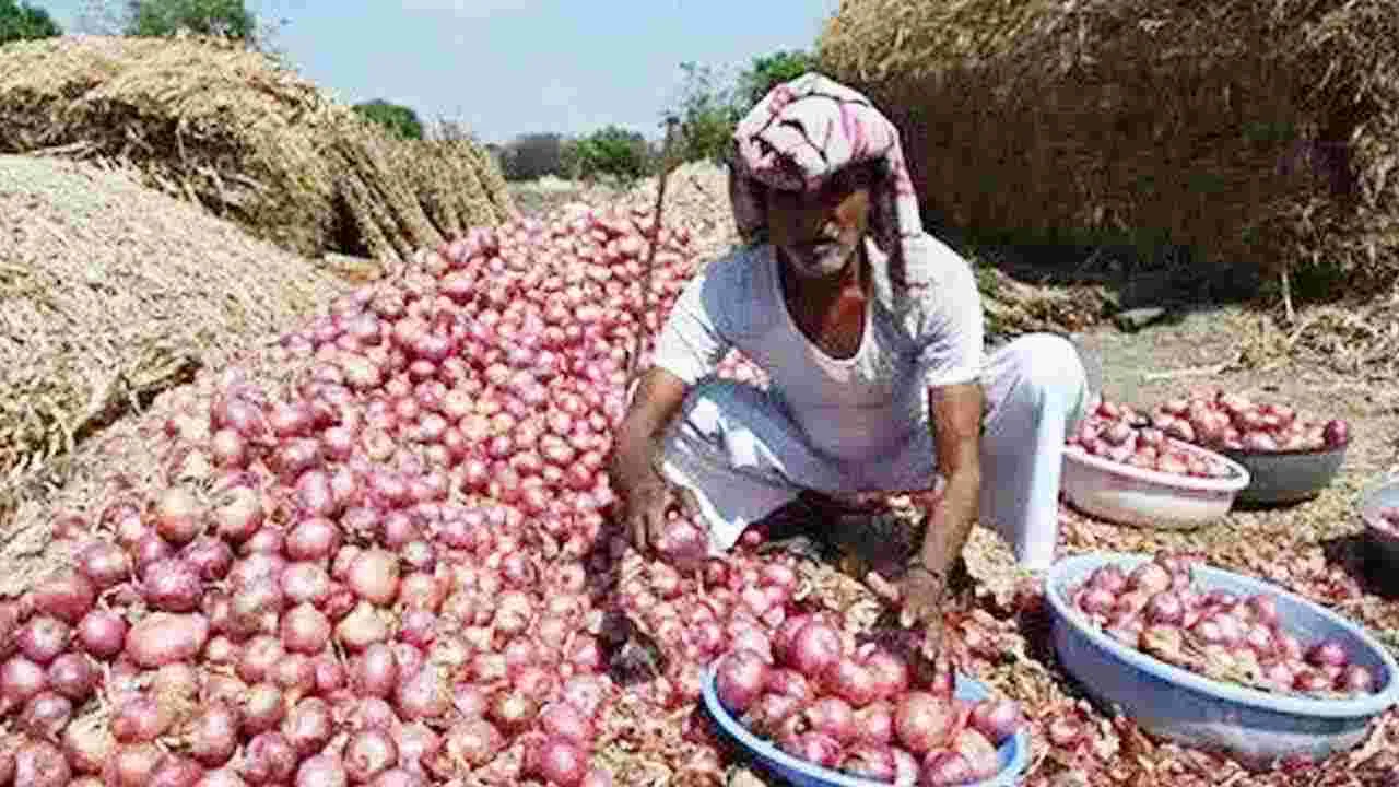 AP Onion Farmers: ఉల్లి సాగు విస్తీర్ణం పెరిగినా.. దిగుబడులు తగ్గి రైతుల కష్టాలు